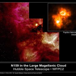 N159 and the Papillon Nebula