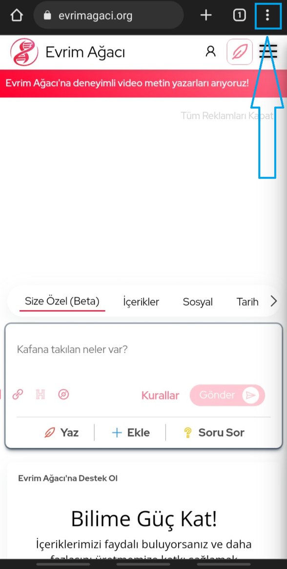 Android cihazdaki Chrome.