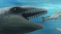 Discovery of New Prehistoric Whale Species Sheds Light on Evolution - SSBCrack News