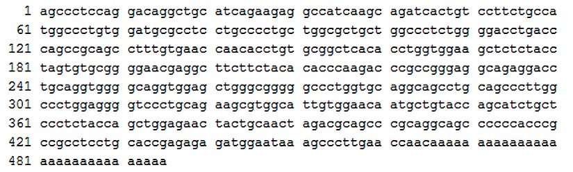 İnsülini kodlayan genetik dizi