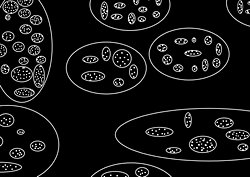 Paralel evrenler görseldeki gibi olabilir mi? Sizin paralel evren görüşünüz nedir?