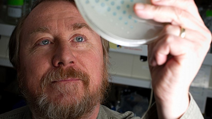 Lenski uzun vadeli evrim deneyi