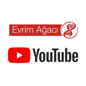 Bilim Ağacı