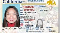 Travelers with no REAL ID can fly for now, but with likely extra steps: Homeland Security