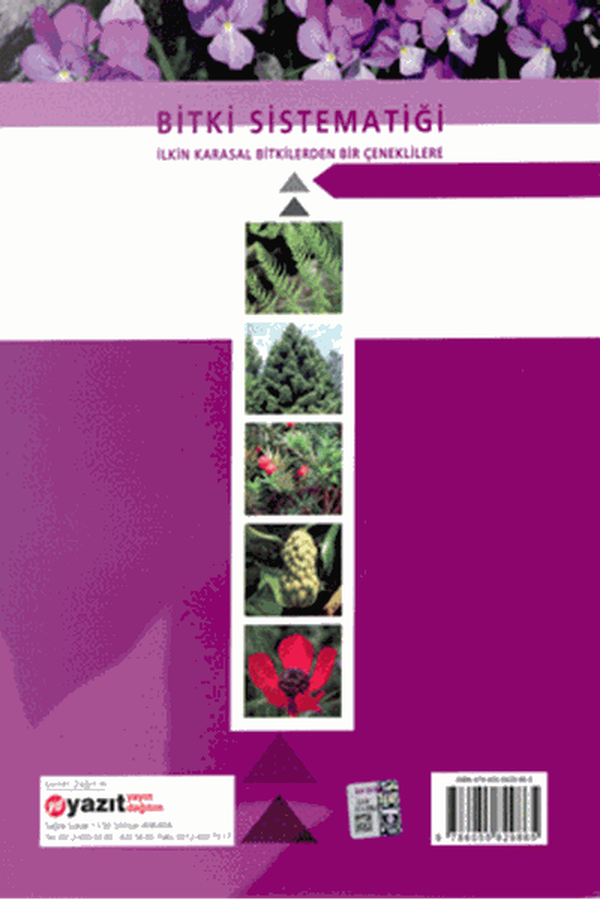 Bitki Sistematiği