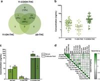 Cannabis impacts female fertility as evidenced by an in vitro investigation and a case-control study - Nature Communications