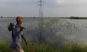 Pakistani Farmers Sue German Giants Over Flood Losses