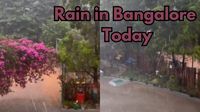 'Bangalore is Bangaloring': Weather Turns Delightful in Garden City – Watch
