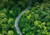 EIC ฉายภาพการบริโภคอย่างมีจิตสำนึก: Green road, Go sustain เปลี่ยนการสัญจรให้ยั่งยืนทุกเส้นทาง - ThaiPublica