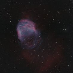 The Medusa Nebula