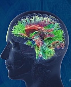 AI-AGI organizasyonu, Ai'in gelişimini farklı yerlere götürecek mi?