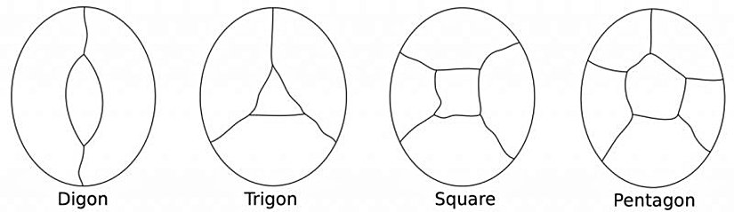 Merkezi bir bölgeyi çevrelemek için mümkün olan en basit yapılandırmalar.