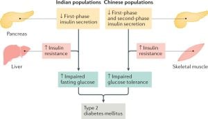 Diabetes Crisis Ignites Urgent Research And Care Initiatives Across Asia