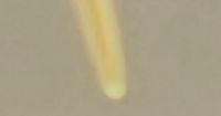 Meteor burns up as it tears through skies over Scotland