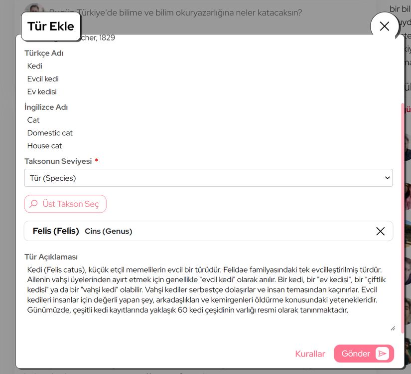 Takson açıklamamızı girip, Gönder tuşuna basmamızla birlikte işlemimiz tamamlandı.
