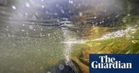 Millions in England face higher water bills after regulator backs more price rises