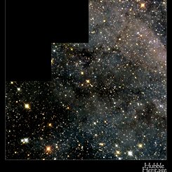 A Magellanic Starfield