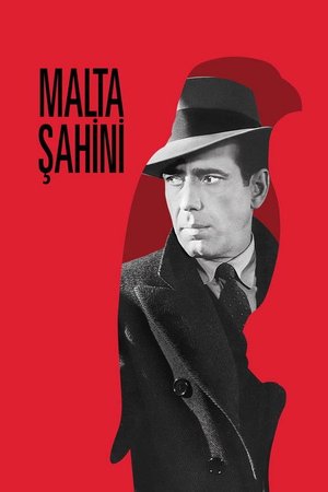 Malta Şahini