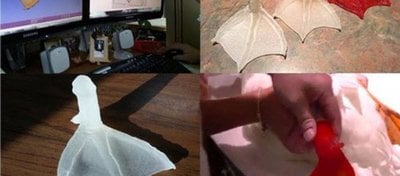 Engelli Ördek Buttercup'a Bilim İnsanları El Uzattı!