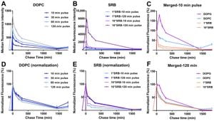 Innovative Methods Improve Evaluation Of Cancer Drug Sensitivity