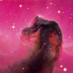  The Horsehead Nebula 