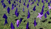 West Jordan displays scale of domestic violence with field of flags, pinwheels