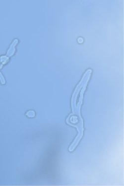 Bazen gökyüzüne bakınca uçuşan cisimler gördünüz mü?