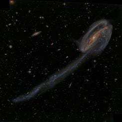  Arp 188 and the Tadpole's Tail 