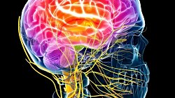 Alışılmadık Büyüklükte Bir Beyin Otizmin İlk Belirtisi Olabilir!