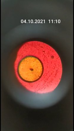 Bu fotoğrafta gördüğünüz hücre mi?