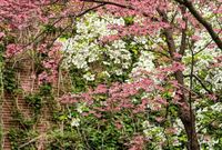 When is the first day of spring in 2025 California? What to know about the vernal equinox
