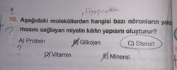 Miyelin kılıf yapısı ile ilgili olarak lipoprotein yapılı diyoruz. Ancak soruda steroit yapılı olrak kabul etmiş. Protein yapılı da olmaz mı?