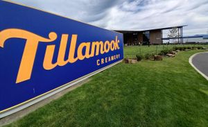 Oregon's Tillamook Cheese Crowned Best Cheddar