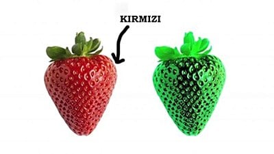 Kualia ve Renkler: Herkes Renkleri Aynı mı Görür?