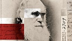 Darwin, Kendi Teorisine Güveniyor muydu? Yoksa Fantezi Peşinde Koştuğuna mı İnanıyordu?