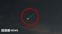 Perseids meteor shower lights up night skies