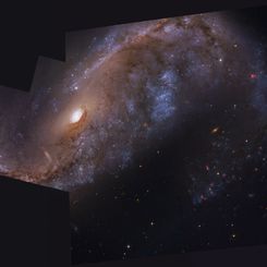 NGC 2442: Galaxy in Volans