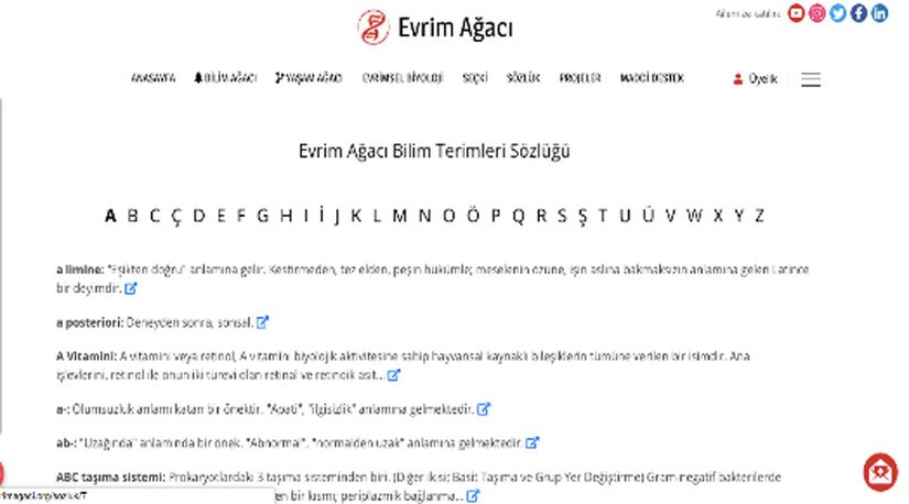 Şekil 3: Evrim Ağacı Bilim Terimleri Sözlüğü başlıklı içerik