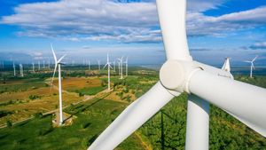 Idris Elba And Octopus Energy Launch Sierra Leone's First Wind Farm