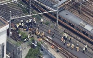 JR Chūō Line Disrupted By Fallen Tree Incident