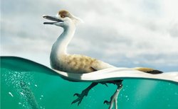 Moğolistan'da Yeni Bir Dinozor Keşfedildi