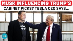 Elon Musk Maintains Limited Role In Trump's Cabinet Picks