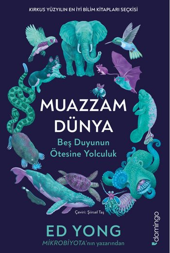 Muazzam Bir Dünya