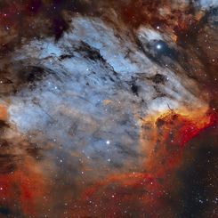  The Pelican Nebula in Gas, Dust, and Stars 