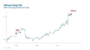 Wheat Prices Set To Surge Significantly By 2025