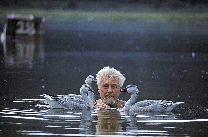 Konrad Lorenz ve kazları