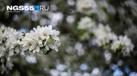 Дождь или солнце: какими будут майские выходные в Омске