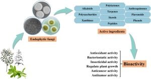 Fermentation Techniques Boost Biopesticide Production From Fungi