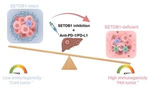 New Allosteric Modulator UNC10013 Targets SETDB1 Methyltransferase