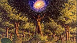 YARATMA İŞİ ÜZERİNE TANRI YORUMU